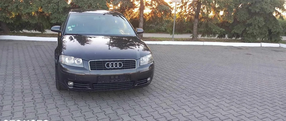 Audi A3 cena 9300 przebieg: 242000, rok produkcji 2003 z Bojanowo małe 379